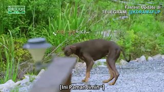 BTS IN THE SOOP S2 EPS 3 [INDO SUB] PART 1