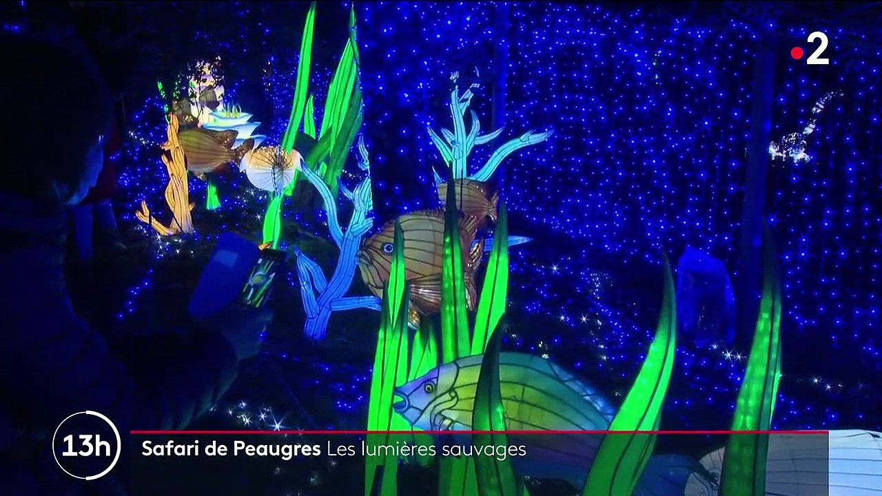 Ardèche : à Peaugres, un safari plein de lumière émerveille les visiteurs