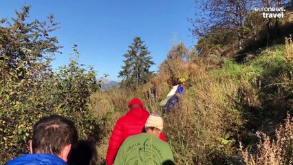 All before lunchtime: Learning to make absinthe in the Swiss Alps