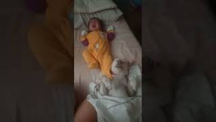 Baby Kicks Don't Bother Sleeping Dog