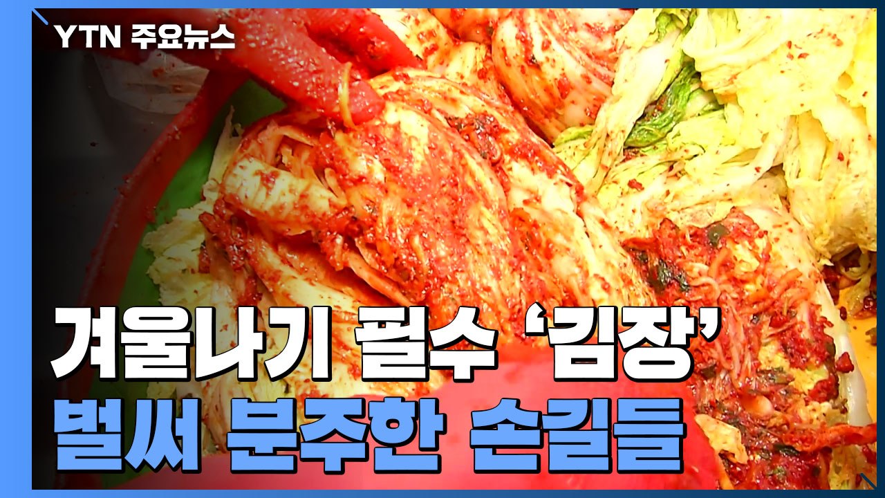 겨울나기 필수 '김장'...벌써 분주한 손길들 / YTN