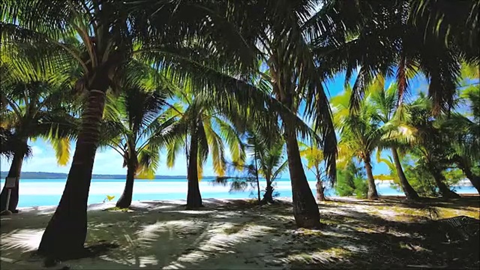 Study Music, Concentration, Focus Music, Relaxing Music, Meditation, Work, Calm Music