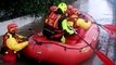 Man and dog rescued from Sicily flooding