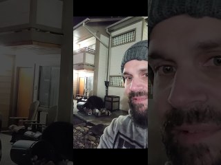 Bear Takes Apart Garbage and Eats Near Crowd