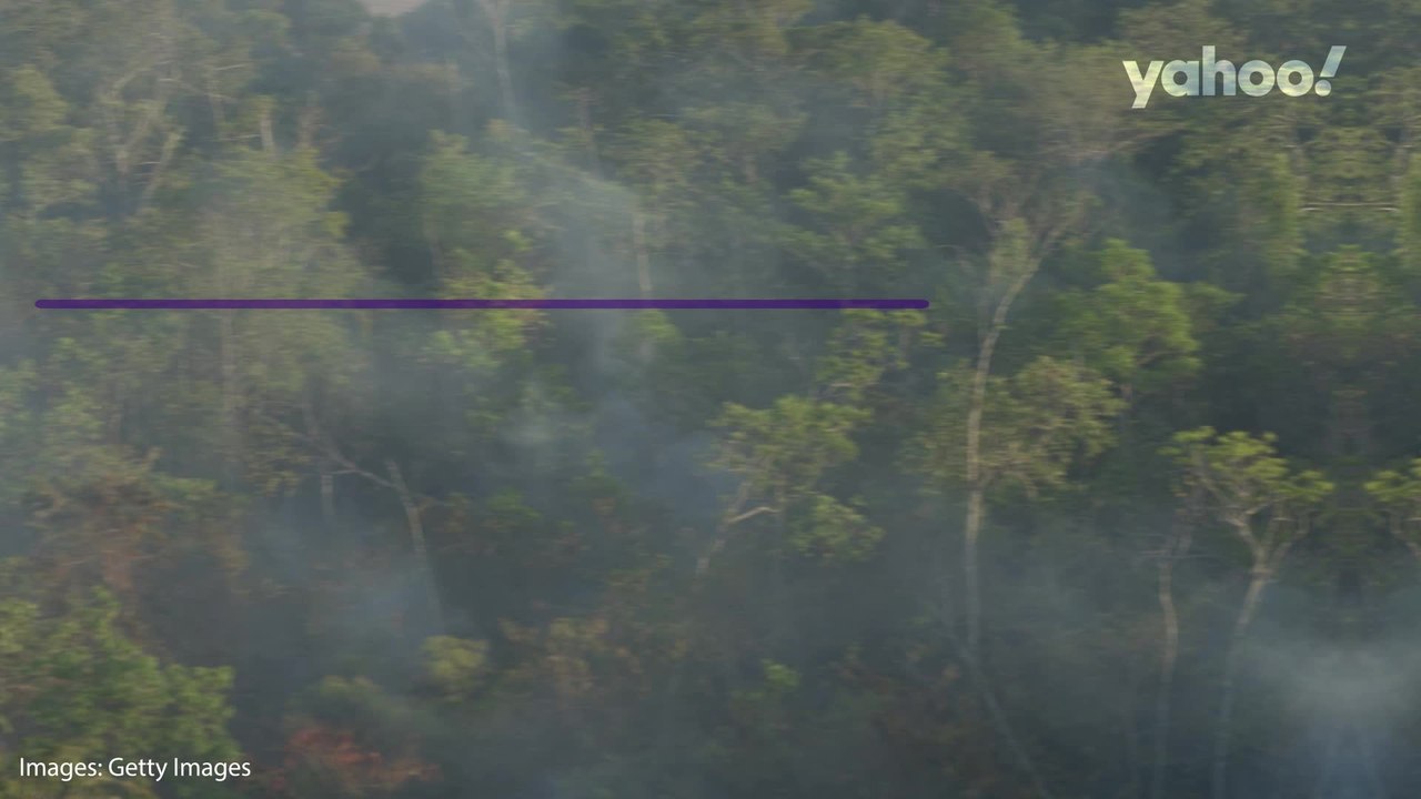 Dürren und Überschwemmungen: Die Auswirkungen des Klimawandels auf die Welt bis 2050