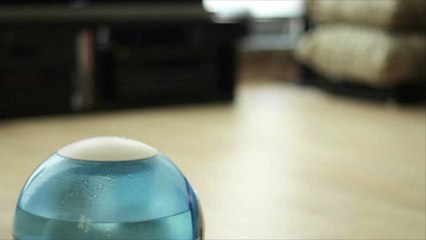 If You're Not Cleaning Your Humidifier You Might Be Releasing Mold Spores