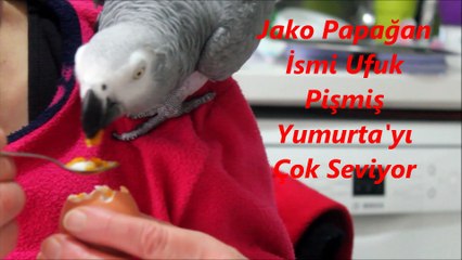 televizyonlarda ünlü olan ufuk yumurtayı seviyor sır yapım