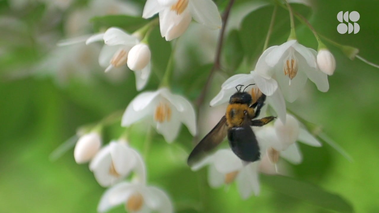The Threat to Our Food Supply You Never Knew Existed