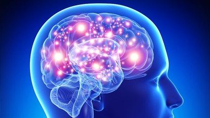Scientists Identify What Drives Alzheimer's Progress in the Brain