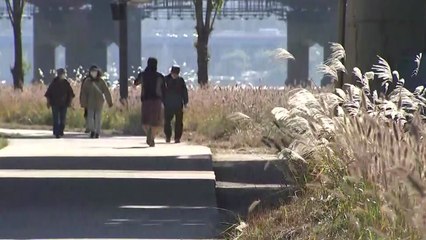 [날씨] 10월 마지막 주말, 흐리고 중부 서해안 비...큰 일교차 / YTN