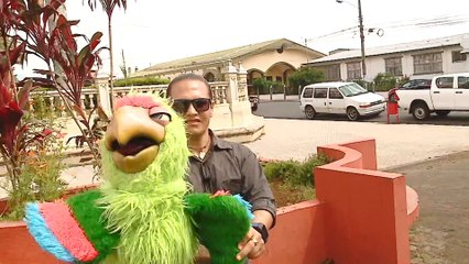 dbb-mascaras-pili-291021