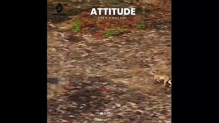 Attitude Whatsapp Status BGM  King is always King
