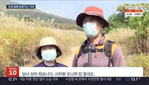 만추가 성큼…억새 군락지 명소 은빛 물결 장관