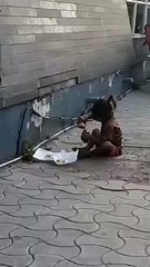 Hungry kids having something on road.