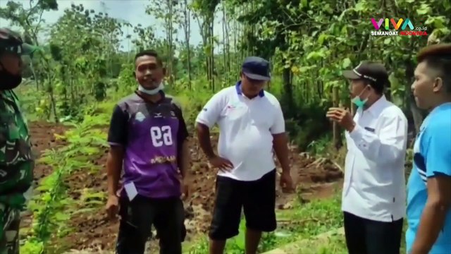 Kalah Pilkades, Mantan Kades Cabut Ratusan Tiang Listrik