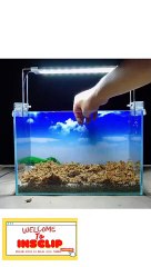 one minute to set up the aquarium #tutorial