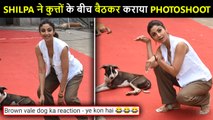 Shilpa Shetty Happily Poses With Street Dogs, Gets Brutally Trolled