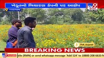 Farmer allegedly deceived by seed company in Kapadwanj _ TV9News