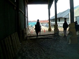 Eline, saut d'obstacle