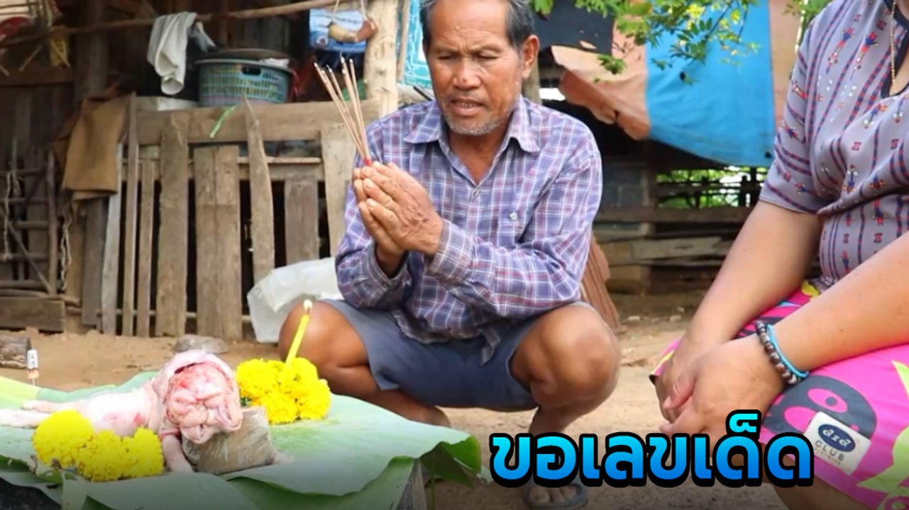 ฮือฮา ! แม่หมูคลอดลูกหมูแปลก มีลำตัวติดกันเหมือ...