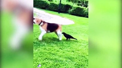 Funny mistakes video collection 2021 Part 8