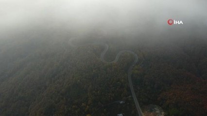 Bursa Ormanları'nda renk cümbüşü