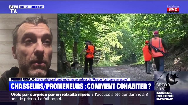 Pour le naturaliste Pierre Rigaux, la proposition de Yannick Jadot d'interdire la chasse le week-end et pendant les vacances est une bonne mesure