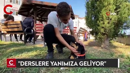 Bu okulda çocuklara hayvan sevgisi aşılanıyor