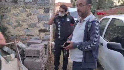 BODRUM'DA KEDİLERİN TARIM İLACIYLA ÖLDÜRÜLDÜĞÜ İDDİA EDİLDİ