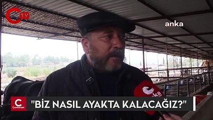Muğlalı çiftçi isyan etti: "Biz nasıl ayakta kalacağız?"
