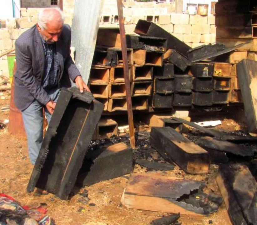 25 arı kovanı yandı, binlerce arı telef oldu