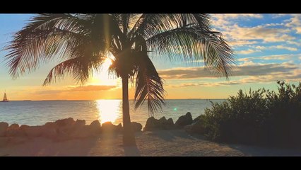 UNDER THE SUN (MPT REMIX) - PROD. BY MALIKSON - OFFICIAL MUSIC VIDEO