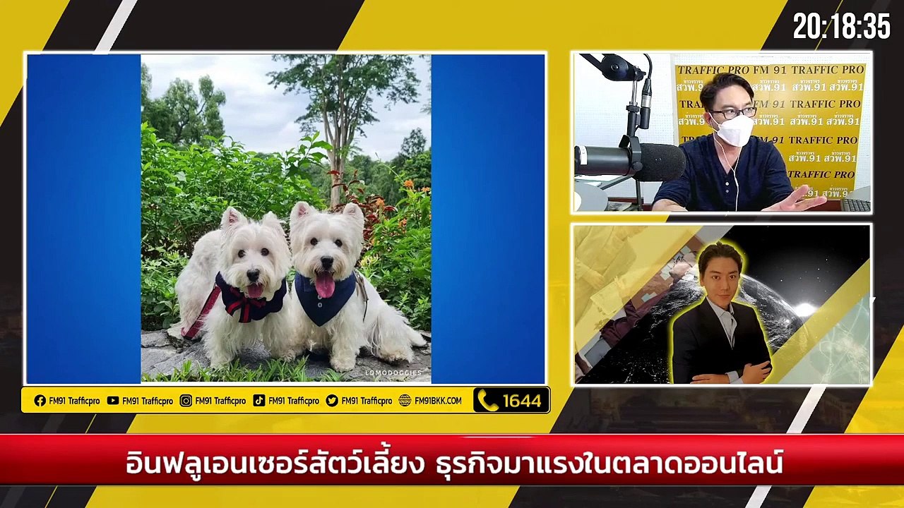 อินฟลูเอนเซอร์สัตว์เลี้ยง ธุรกิจมาแรงในตลาดออนไลน์ : Variety on Earth : 26 ก.ย. 64
