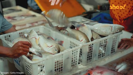 L’impact des déchets plastiques et de la pollution de l’eau sur notre santé