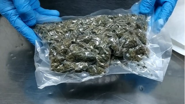 Varese - Aeroporto Malpensa, sequestrate 1,8 tonnellate di droga, 20 arresti e 29 denunciati (30.10.21)