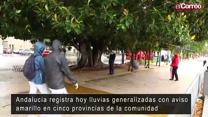 Andalucía registra hoy lluvias generalizadas con aviso amarillo en cinco provincias de la comunidad