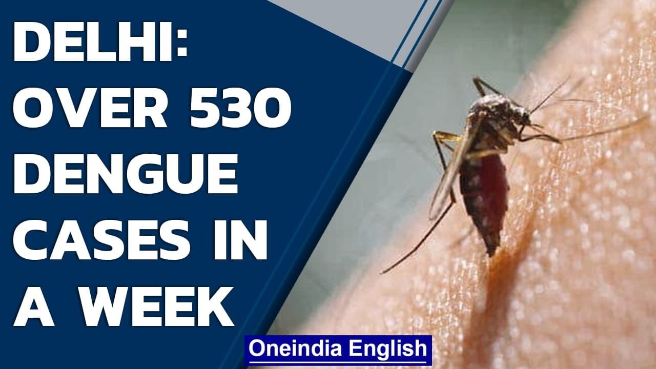Delhi records nearly 1,200 dengue cases in Oct, highest for the month