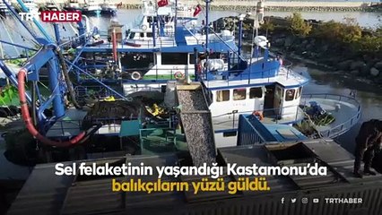 Kastamonu'da gemilerden oluk oluk hamsi aktı