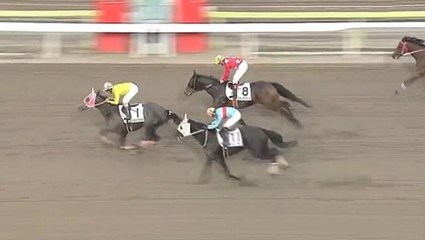 Yarış atının ismi spikere zor anlar yaşattı! Anlamı da bir garip