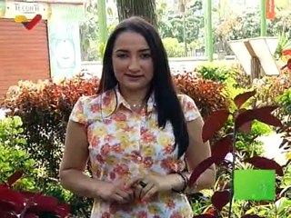 Punto Verde | Cuidado responsable de nuestras reservas de agua