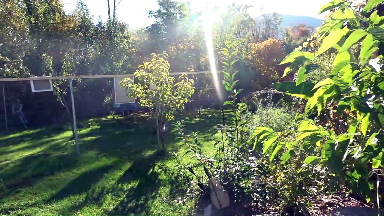 Karimus des Haydar Celik oder Krieg ist eine primitive Sache | Kunst und Kultur