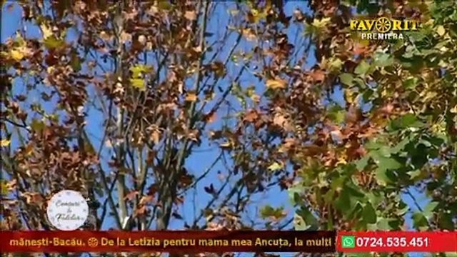 Ioan Chirila - Dorul mandrei de n-ar fi (Ceasuri de folclor - Favorit TV - 27.10.2021)
