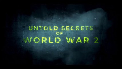 Untold Stories of World War II Hitler Documentary
