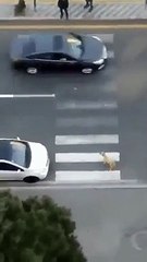 Man Help Dog To cross the Road EMOTIONAL