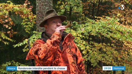 Haut-Rhin : randonnée interdite pendant la chasse aux sangliers