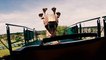 Cobra's Curse Spinning Roller Coaster (Busch Gardens Theme Park - Tampa, FL) - 4K Roller Coaster POV Video