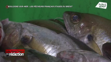 Les reportages de la rédaction (30/10/2021)