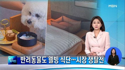"강아지 거야, 사람 거야?"…6조 시장 잡아라