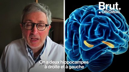 D'où vient la sensation de déjà-vu ?
