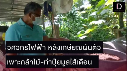 วิศวกรไฟฟ้า หลังเกษียณผันตัว เพาะกล้าไม้-ทำปุ๋ยมูลไส้เดือน | ชนคลิปข่าว 31/10/64 เดลินิวส์